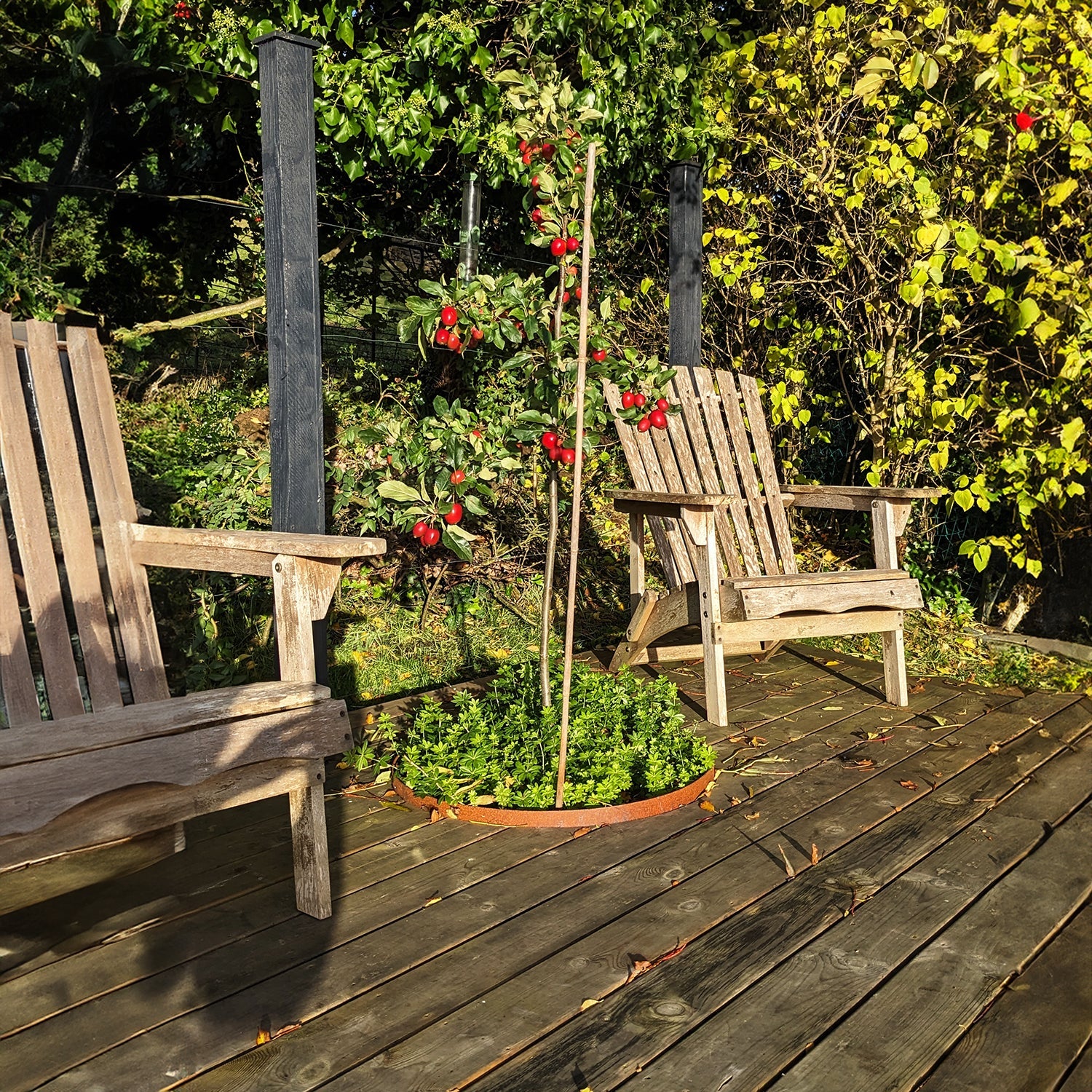 Circular Rustic Steel Planter from Steel Garden Planters
