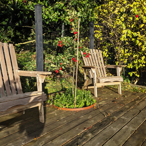 Circular Rustic Steel Planter from Steel Garden Planters