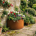 Semi Circular Rustic Steel Planter - 600mm Diameter x 600mm Height