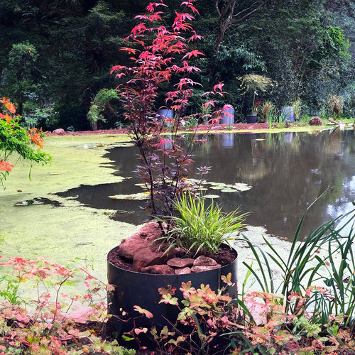 Circular Rustic Steel Planter from Steel Garden Planters