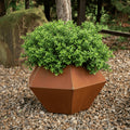 Rustic Steel Faceted Geometric Planter with Base