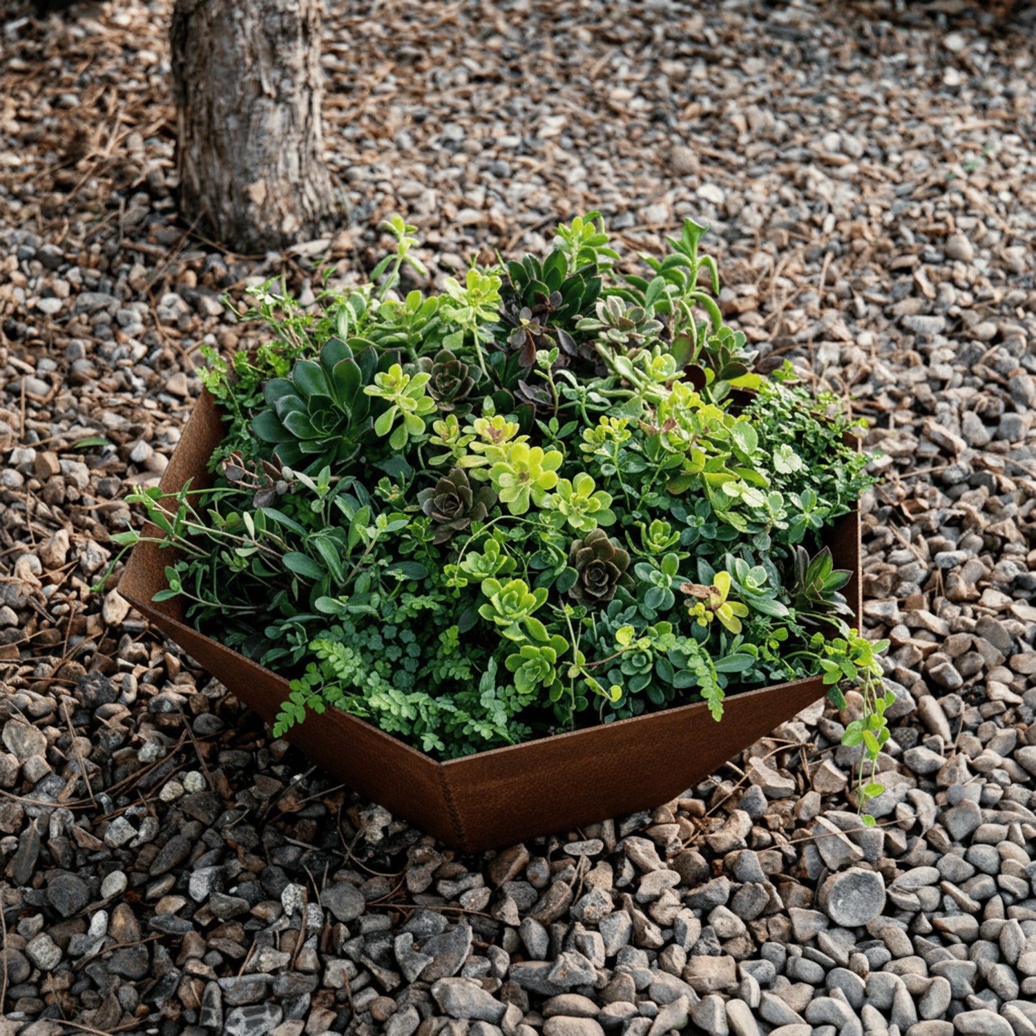 Rustic Steel Hexagon Tapered Geometric Planter with Base
