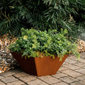 Rustic Steel Hexagon Tapered Geometric Planter with Base