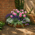 Quarter Circle Rustic Steel Corner Planter - 900mm Radius x 120mm Height