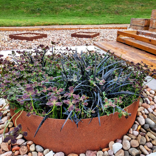Circular Rustic Steel Planter from Steel Garden Planters