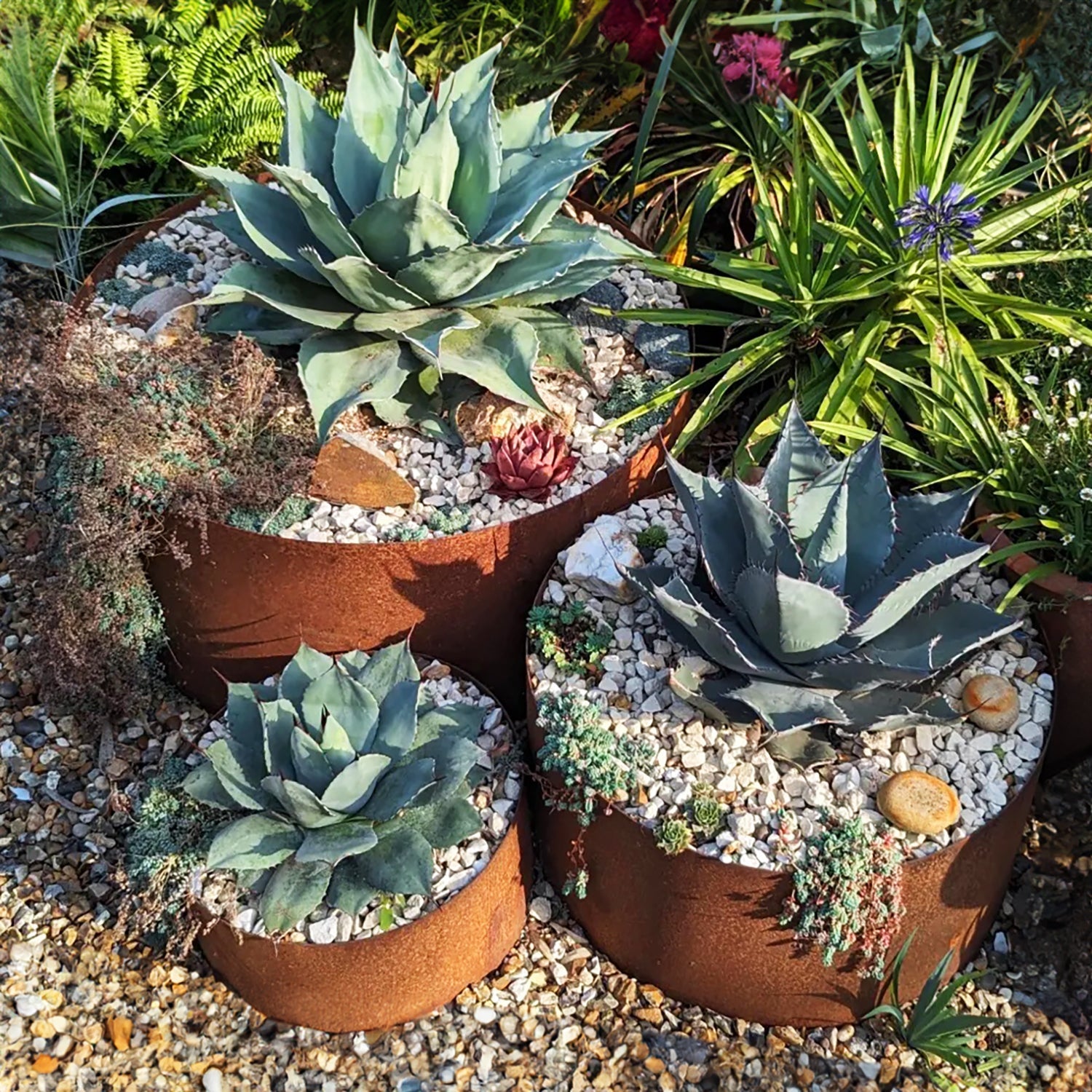 Circular Rustic Steel Planter from Steel Garden Planters