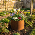 Circular Rustic Steel Planter & Tree Ring - 400mm Diameter x 400mm Height